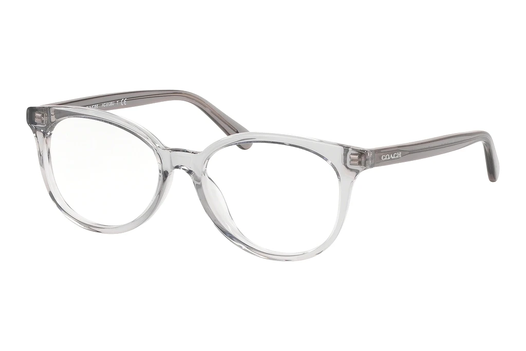 Coach HC6138U 5176 Transparent Grey Coach HC6138U 5176 Transparent Grey