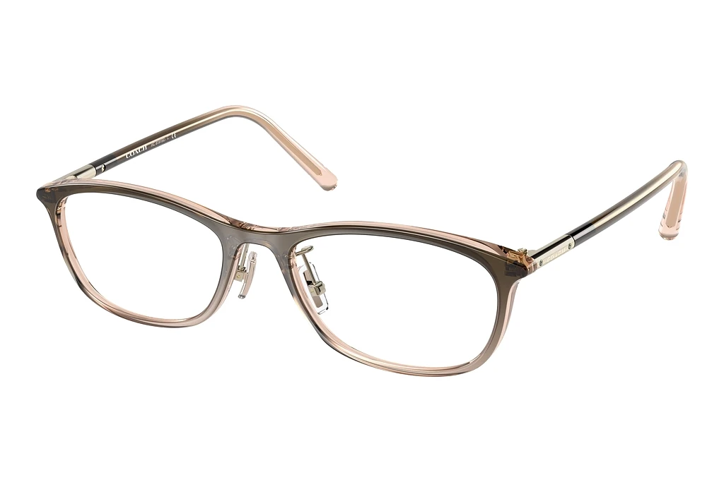 Coach HC6191BD 5675 Brown Gradient Coach HC6191BD 5675 Brown Gradient