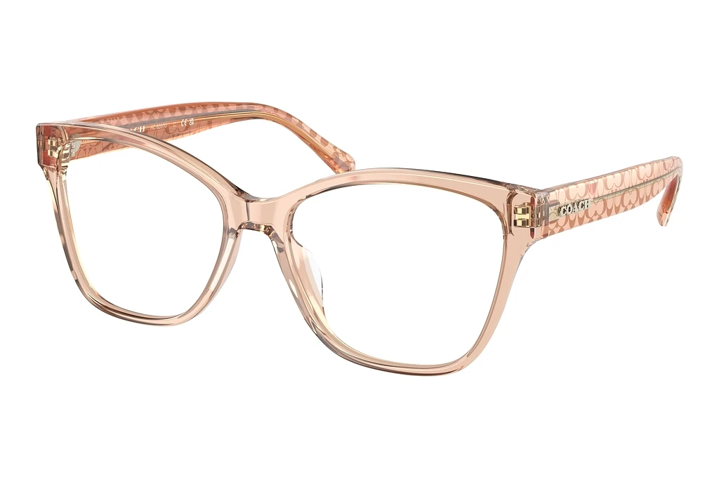 Coach HC6207U 5561 Transparent Brown Coach HC6207U 5561 Transparent Brown