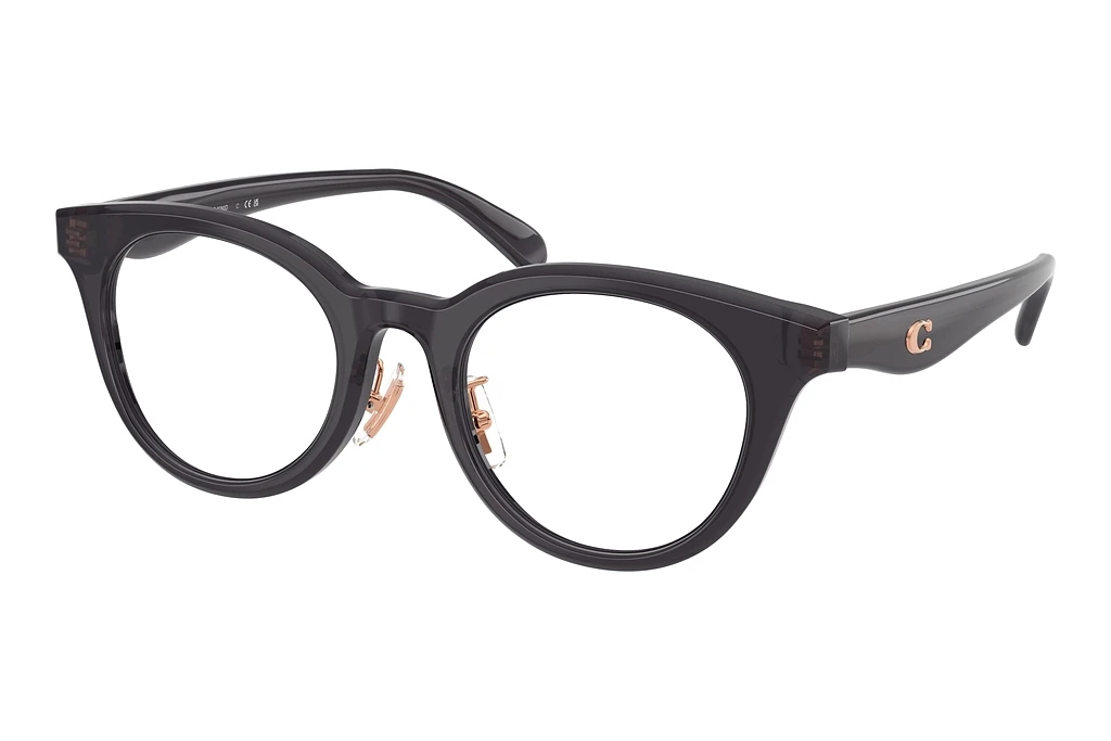 Coach HC6280D 5104 Transparent Dark Grey Coach HC6280D 5104 Transparent Dark Grey