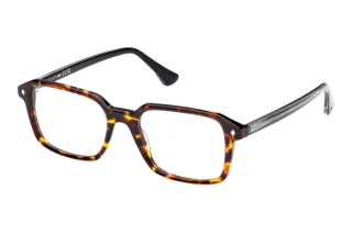 Web Eyewear WE5463 056 Bunt Havanna