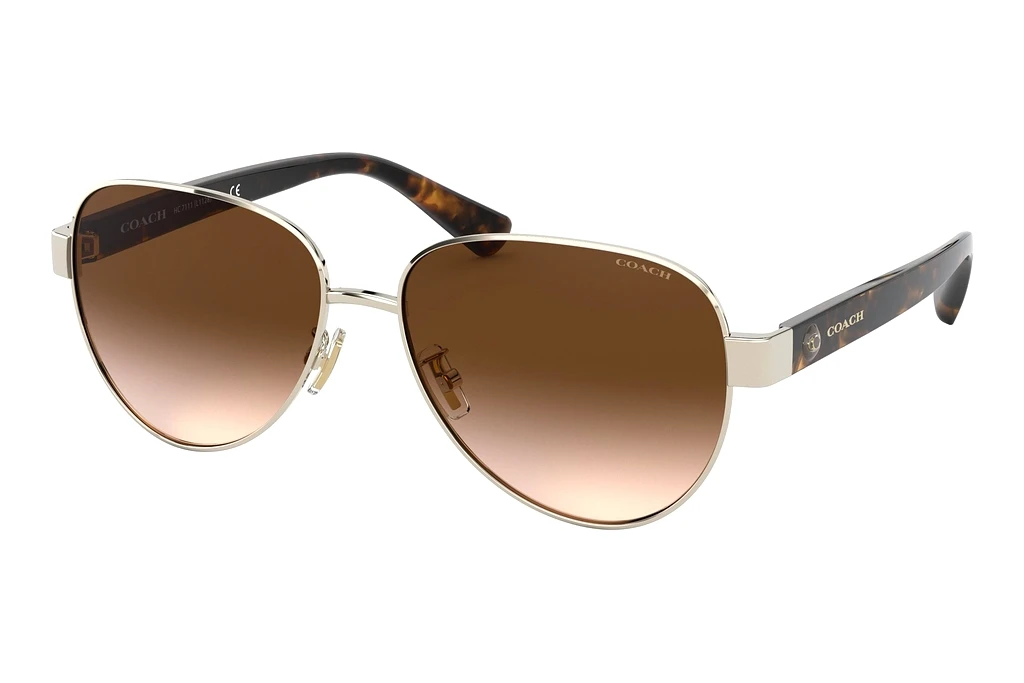 Coach HC7111 900513 Brown GradientLight Gold Coach HC7111 900513 Brown GradientLight Gold