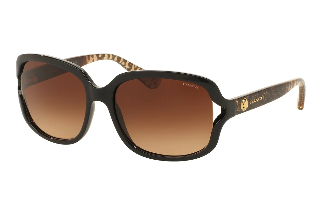 Coach HC8169 535313 Brown GradientBlack Coach HC8169 535313 Brown GradientBlack