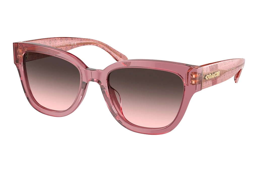 Coach HC8379U 580046 Grey Pink GradientTransparent Berry Coach HC8379U 580046 Grey Pink GradientTransparent Berry