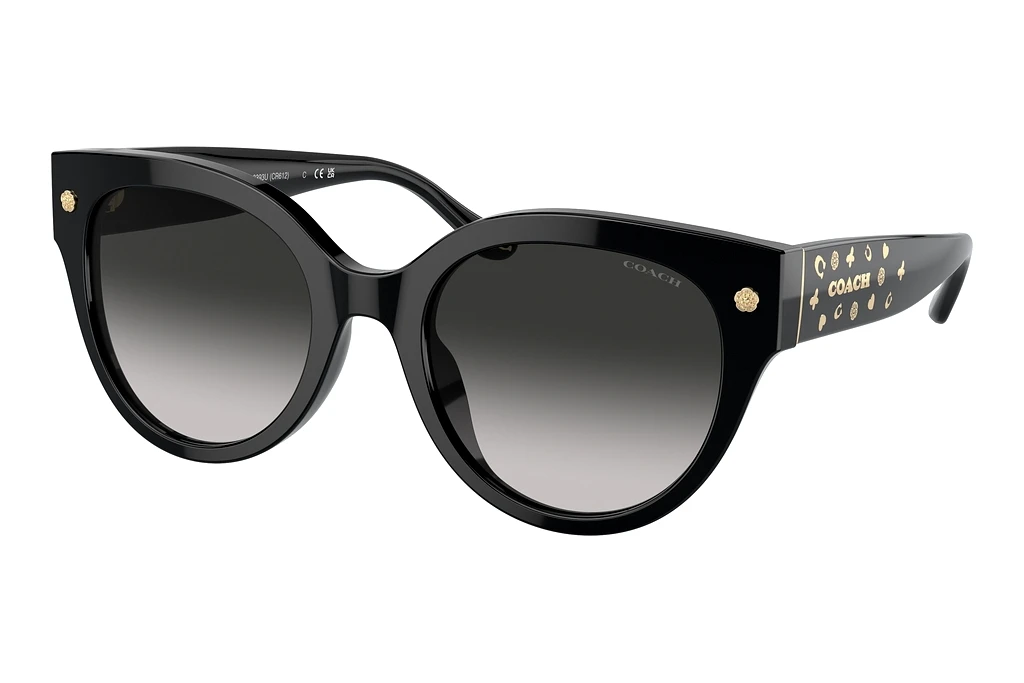 Coach HC8393U 50023C Grey GradientBlack Coach HC8393U 50023C Grey GradientBlack