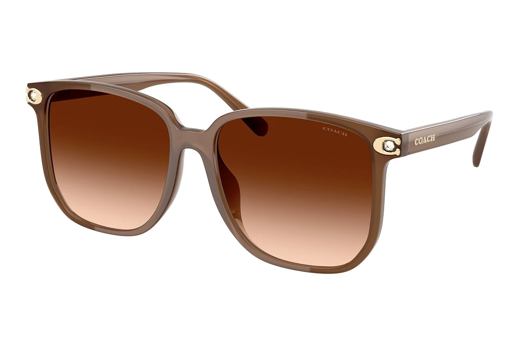 Coach HC8413BD 580874 Brown GradientMilky Brown Coach HC8413BD 580874 Brown GradientMilky Brown