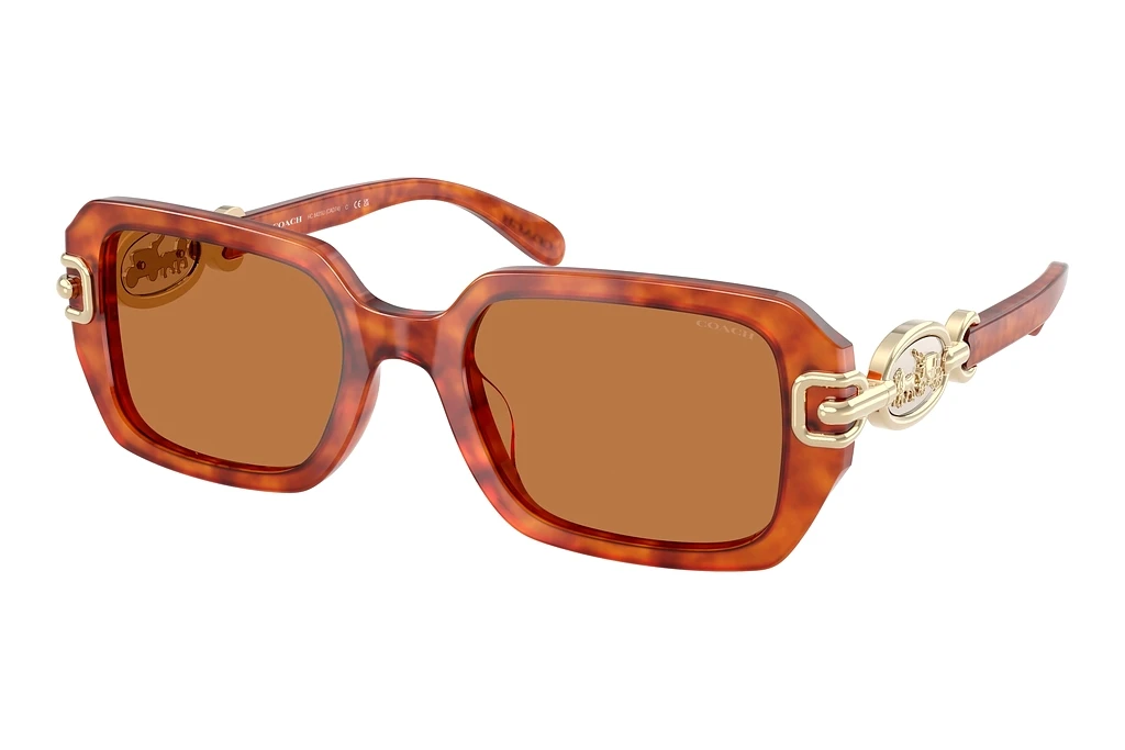 Coach HC8425U 577473 Amber SolidCaramel Tortoise Coach HC8425U 577473 Amber SolidCaramel Tortoise