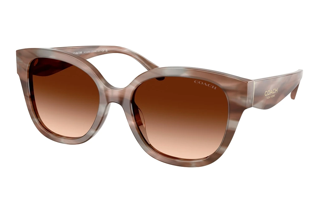 Coach HC8438U 590174 Brown GradientStriated Redwood/Maple Coach HC8438U 590174 Brown GradientStriated Redwood/Maple