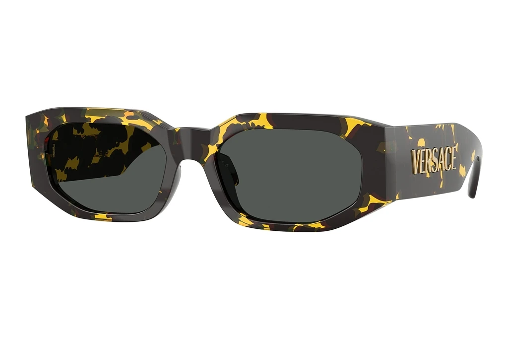 Versace VE4489U 552887 Dark GreyBrown Tortoise Versace VE4489U 552887 Dark GreyBrown Tortoise