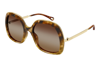 Chloé CH0327S 002 HAVANA