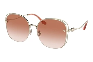 Coach CD453 HC 7145BD 900513