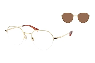 Coach HC7179 900573 Brown SolidShiny Light Gold