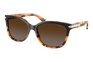 Coach HC8132 5438T5 Brown Gradient PolarizedBlack Tortoise Gradient