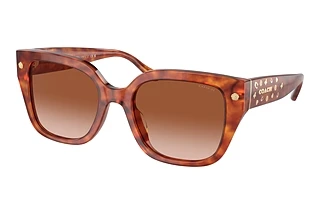 Coach HC8392U 577413 Brown GradientCaramel Tortoise