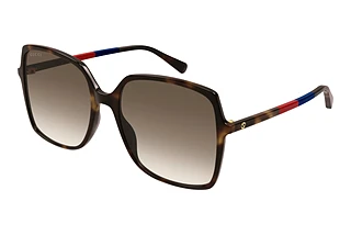 Gucci GG0544S 008 HAVANA