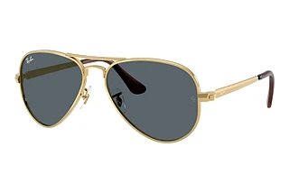 Ray-Ban RB3925 001/R5 BlueArista Gold