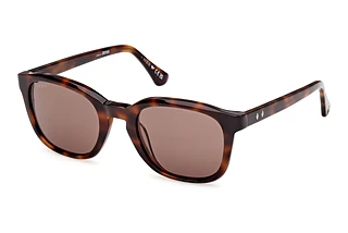 Web Eyewear WE0390 52E braunDunkel Havanna