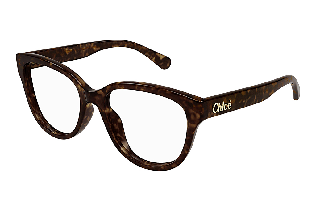 Chloé   CH0243O 002 HAVANA