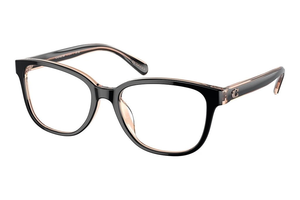 Coach   HC6224U 5781 Black/Transparent Blush