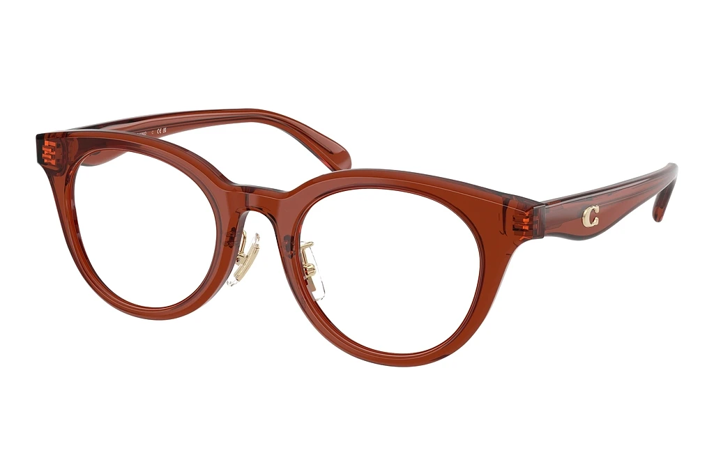 Coach   HC6280D 5847 Transparent Brown