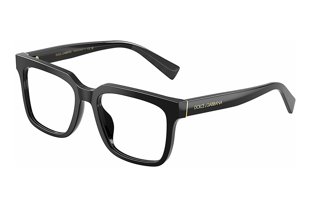 Dolce & Gabbana   DG3422 501 Black