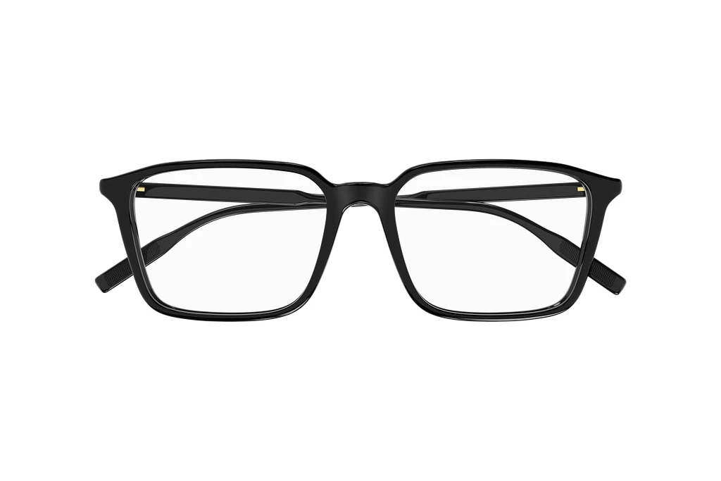 Vista frontale Mont Blanc MB0293OA (001)