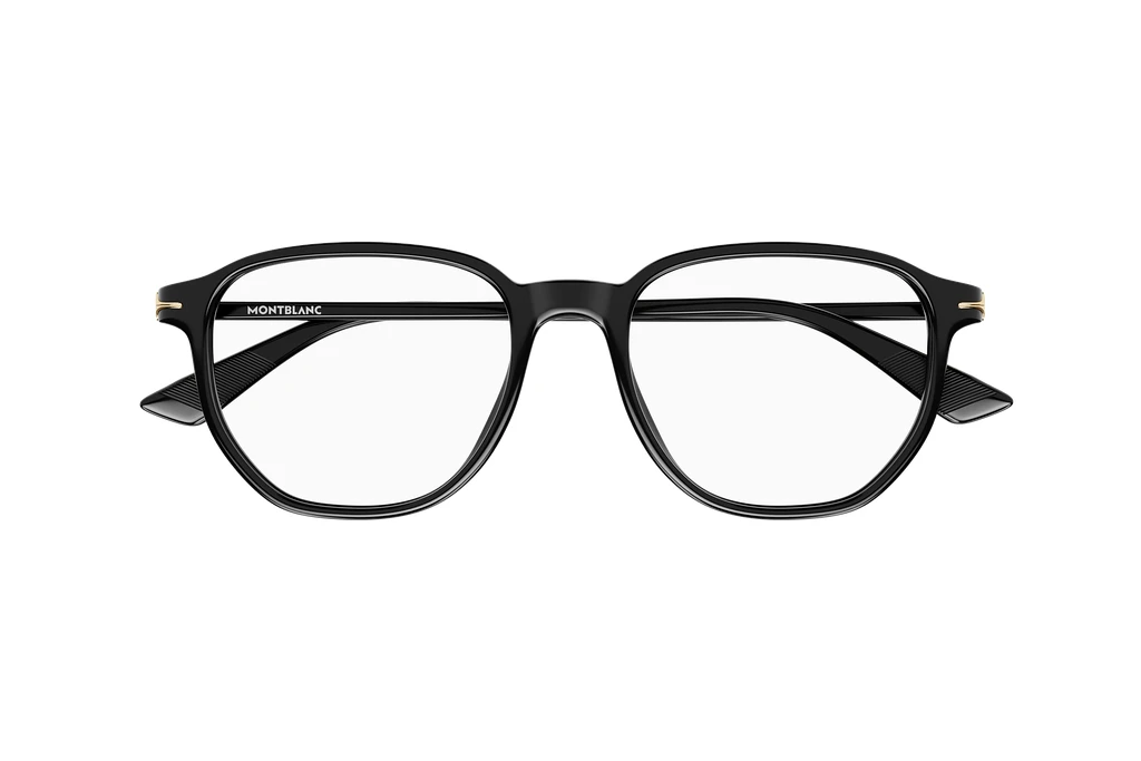 Vista frontale Mont Blanc MB0366O (001)