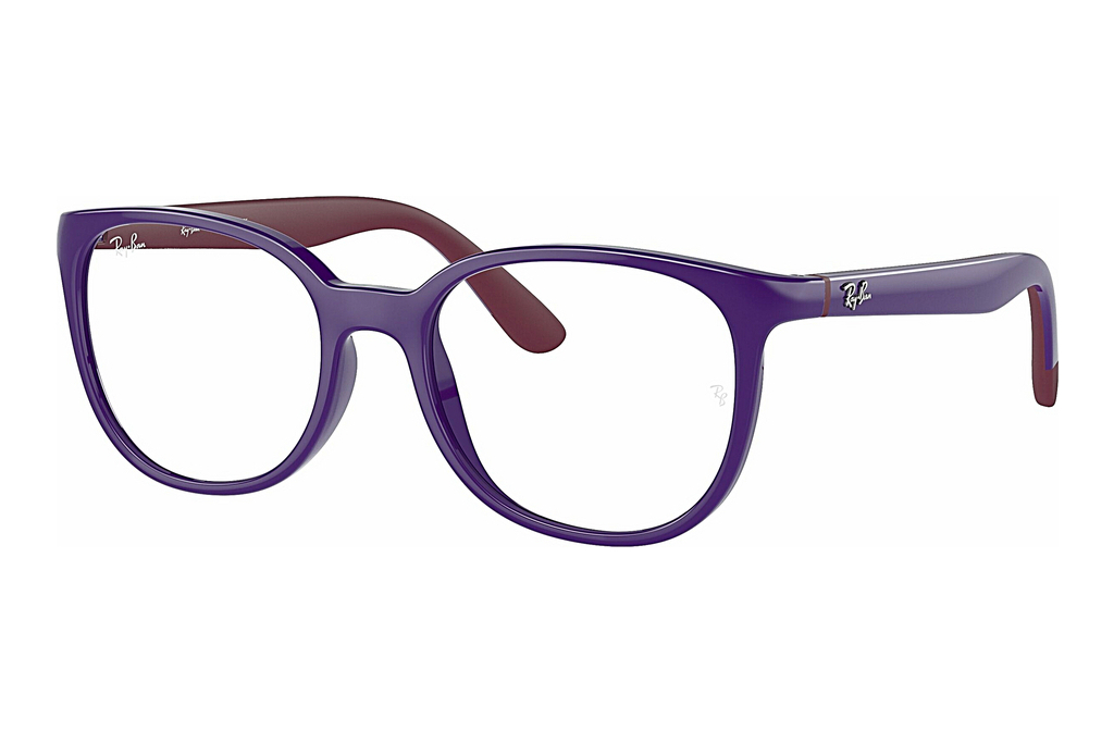 Ray-Ban Kids   RY1631 3962 Violet On Bordeaux