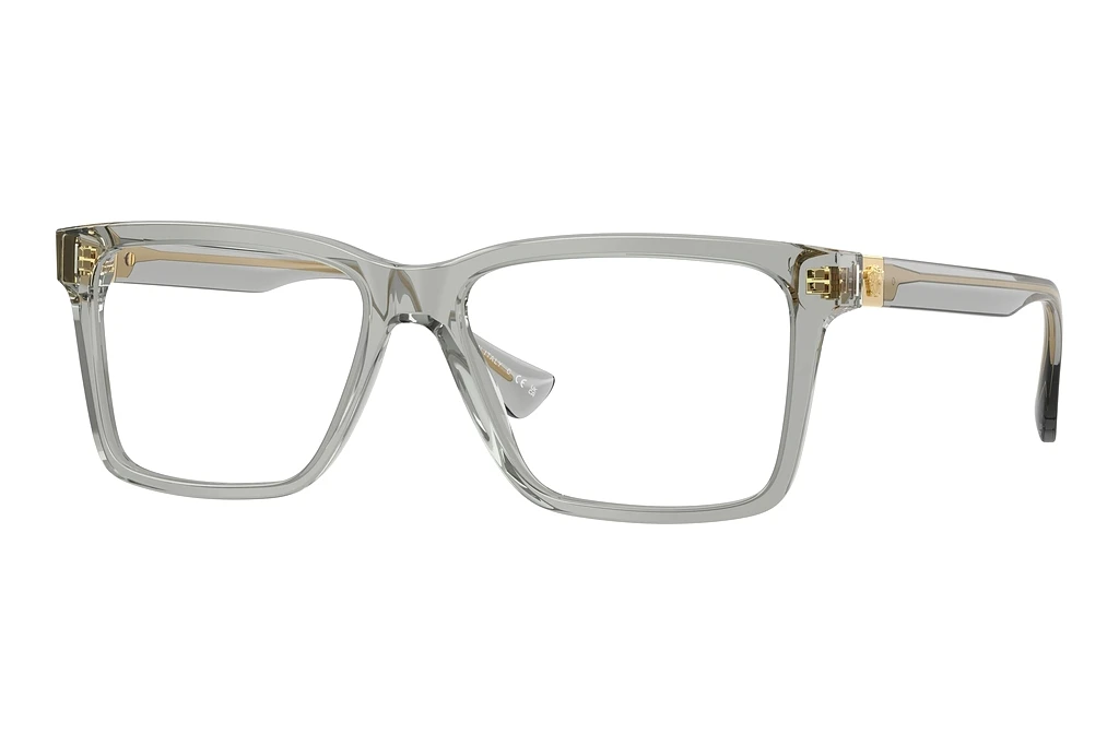 Versace   VE3328 5496 Transparent Grey