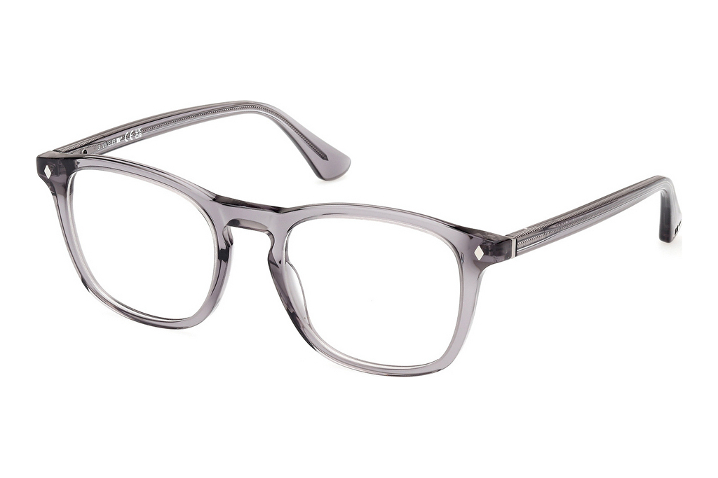 Web Eyewear   WE5386 020 Glänzend Grau