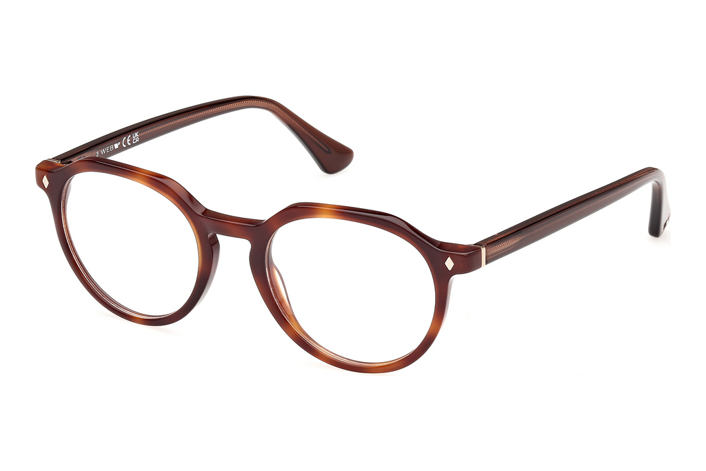 Web Eyewear   WE5427 056 Dunkel Havanna