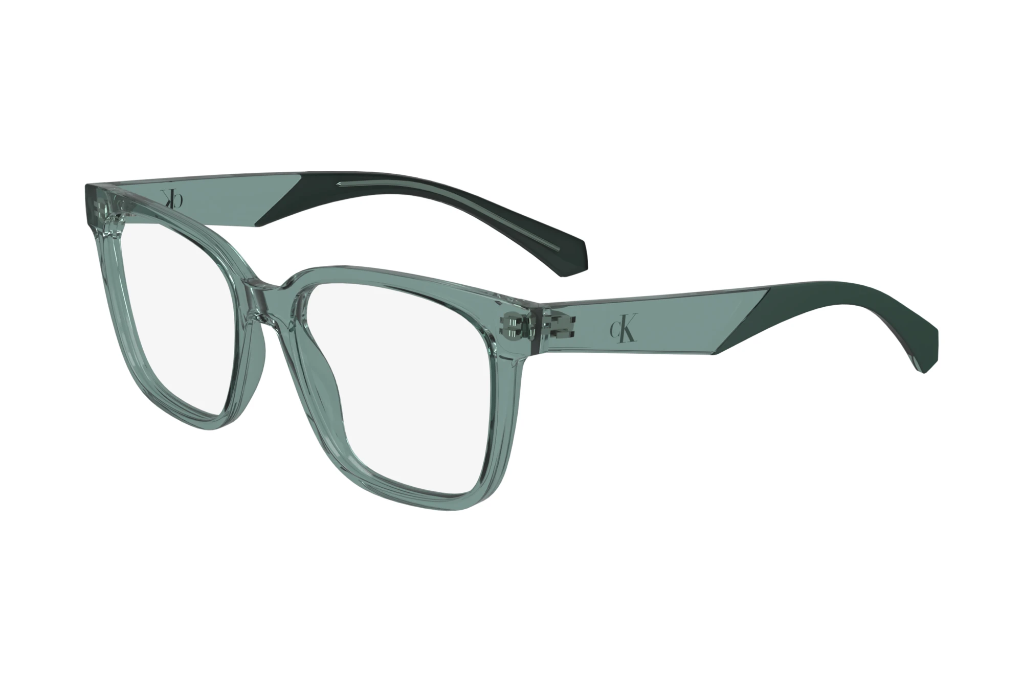 Calvin Klein   CKJ24306 N 302 SAGE