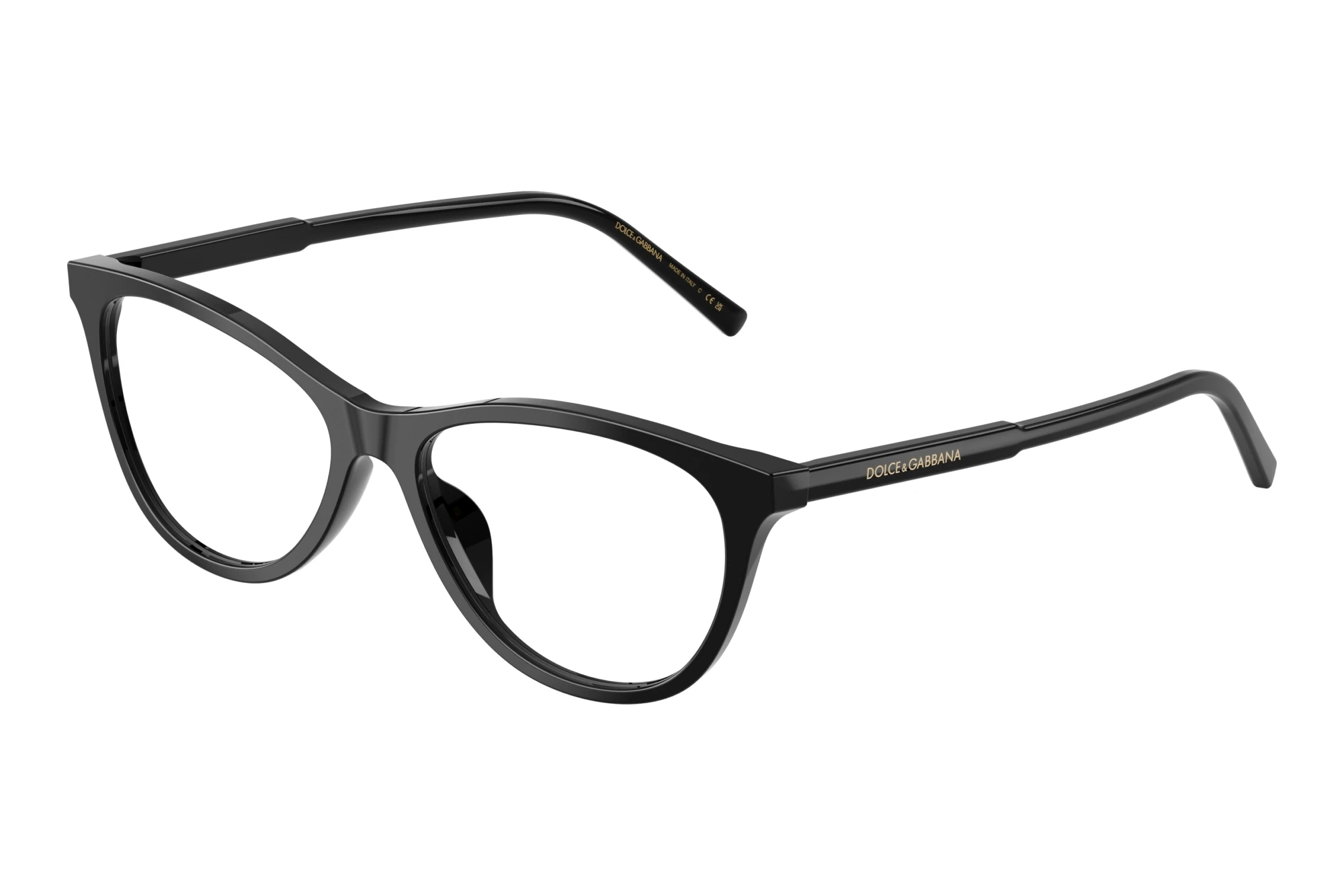 Dolce & Gabbana   DG3443 501 Black