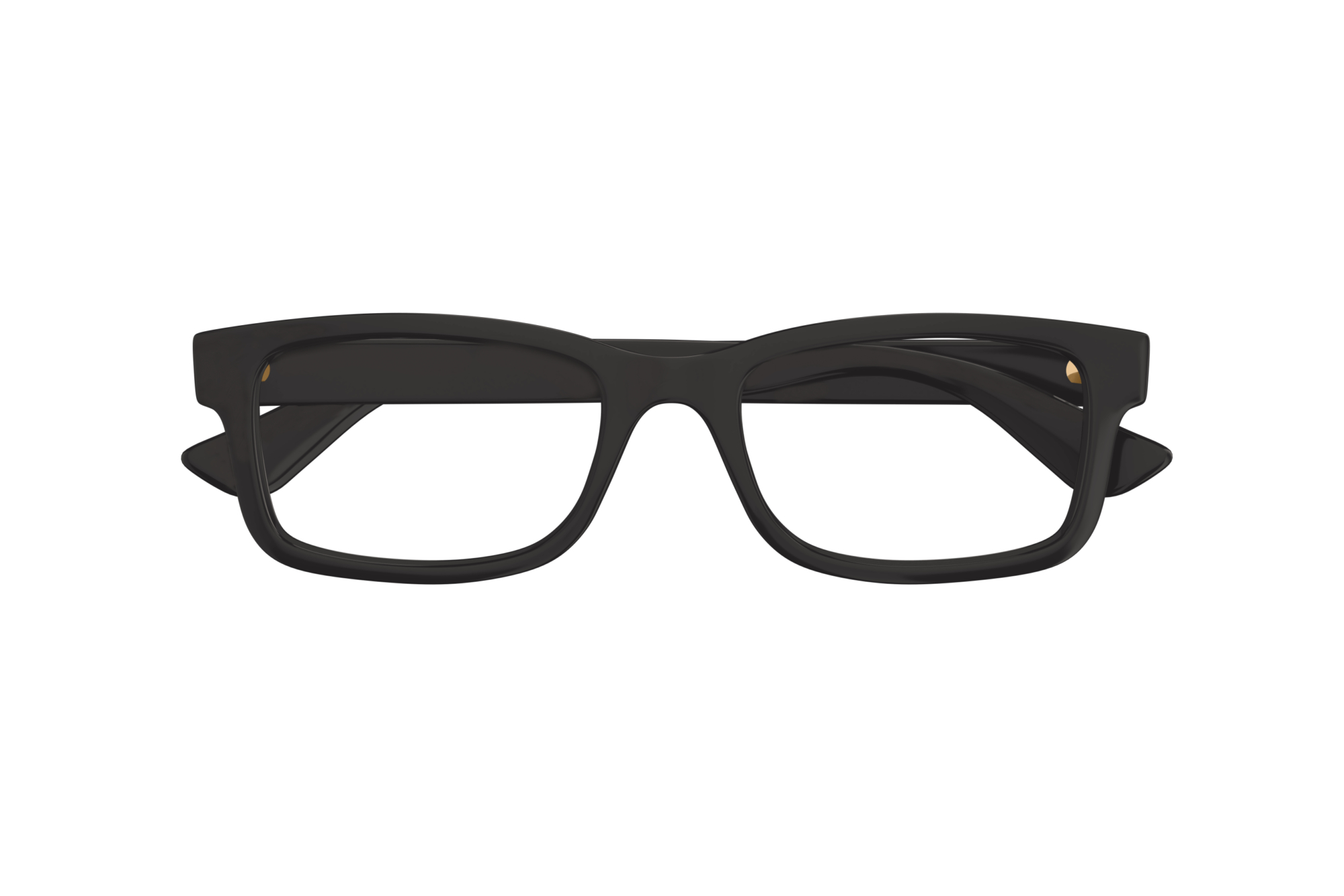 Vista frontale Gucci GG1717O (003)