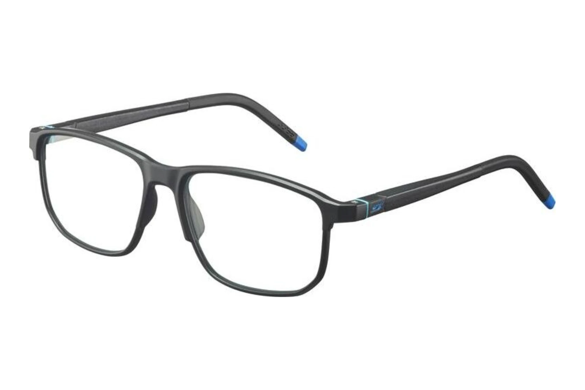Julbo   FLEXIO-R50 22_JOP1416 Schwarz / Blau