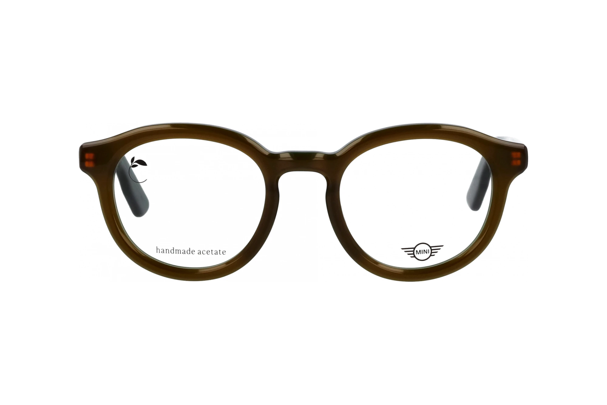 Vista frontale MINI Eyewear MI 743024 (64)