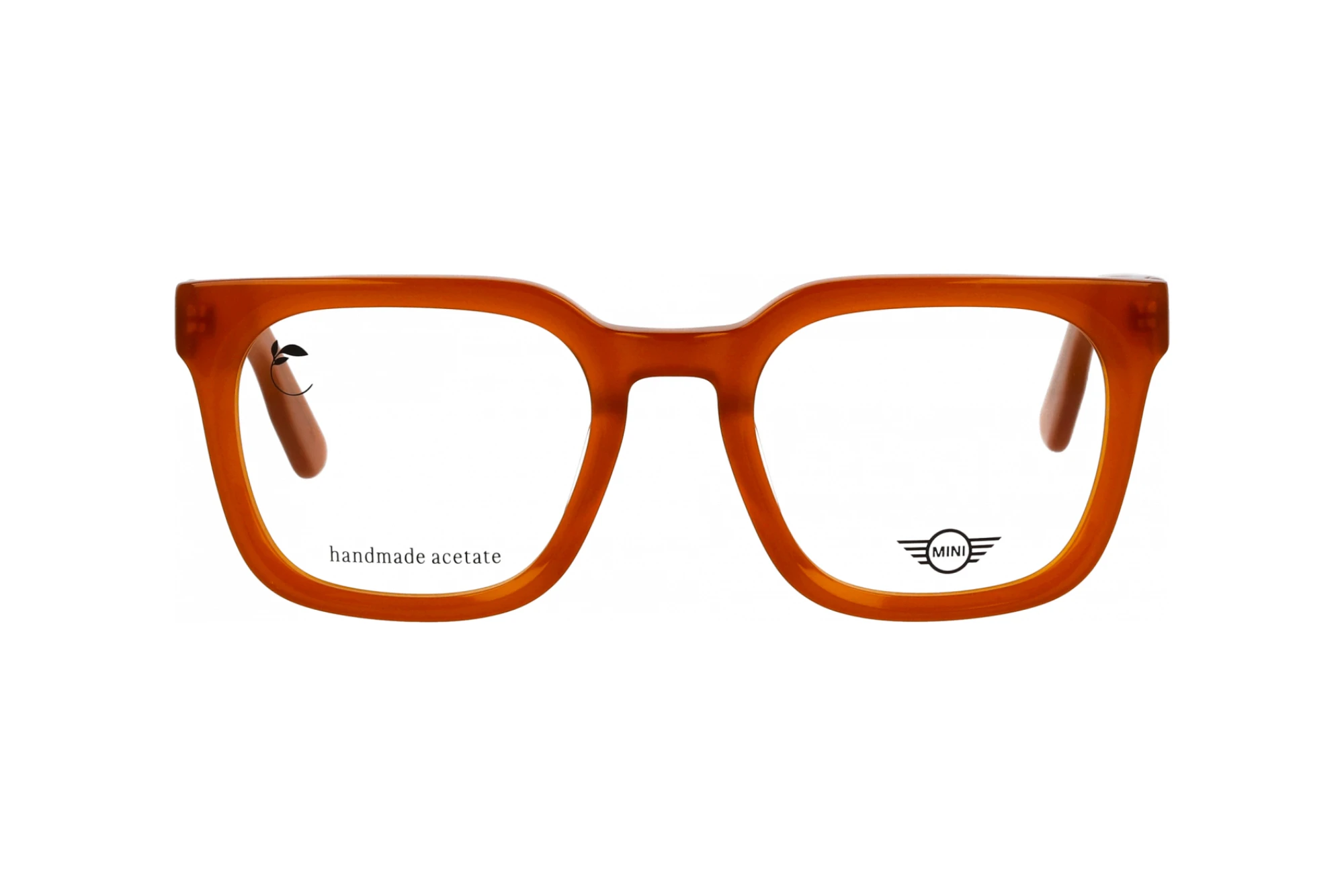 Vista frontale MINI Eyewear MI 743025 (80)