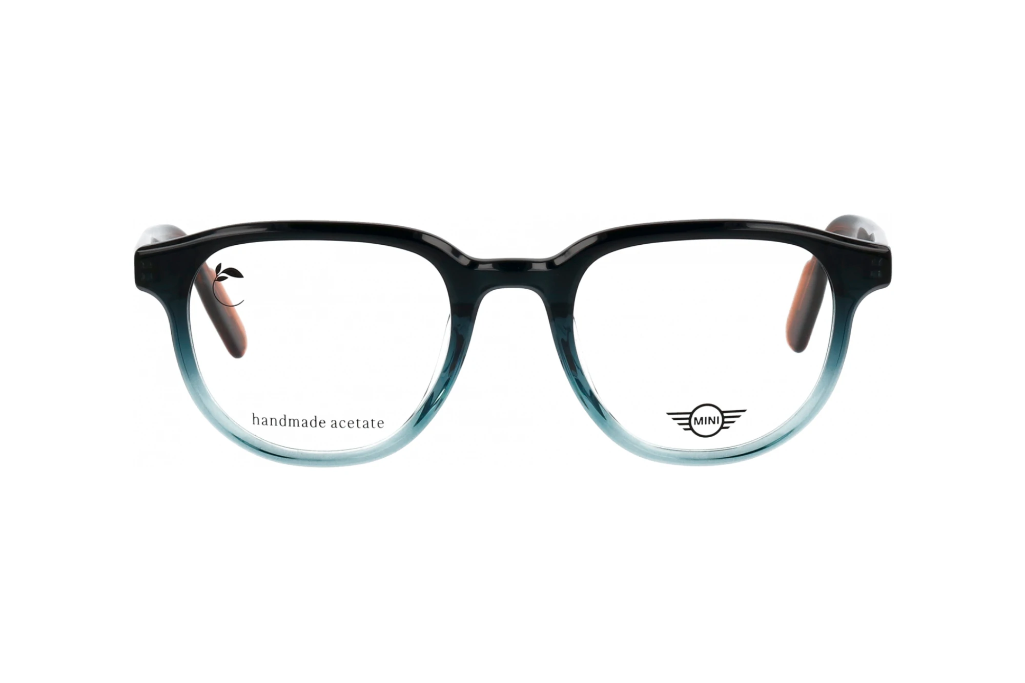 Vista frontale MINI Eyewear MI 743028 (77)