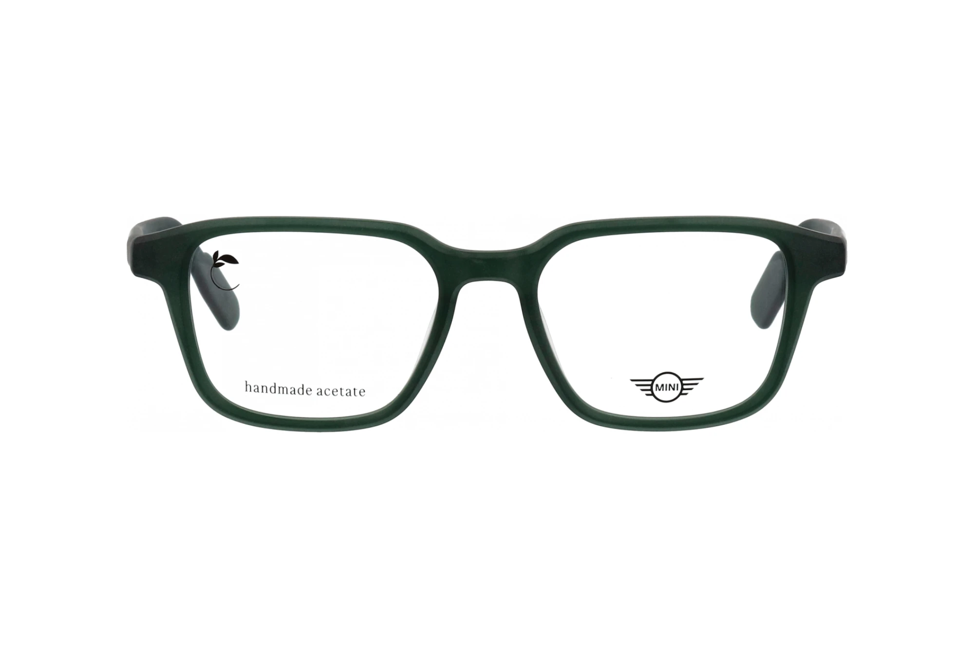 Vista frontale MINI Eyewear MI 743029 (40)