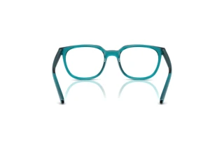 Vista posteriore Arnette LINES (AN7263 - 2968)