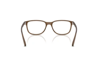 Vista posteriore Arnette CRUMBLE (AN7281 - 2997)