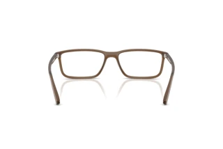 Vista posteriore Arnette ZAP (AN7282 - 2997)