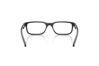 Vista posteriore Arnette RAYSIN (AN7283 - 3009)