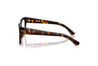 Vista laterale Burberry BE2420 (3002)