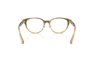 Vista posteriore Burberry BE2448D (4201)