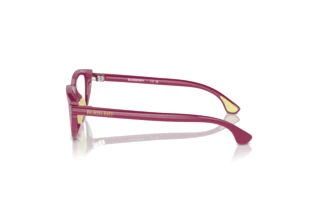 Vista laterale Burberry JB2011U (4134)