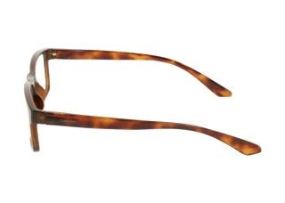 Vista laterale Calvin Klein CK19569N (200)