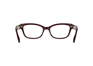 Vista posteriore Calvin Klein CK25541 (605)