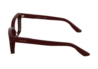 Vista laterale Calvin Klein CK25543 (606)
