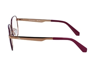 Vista laterale Calvin Klein CKJ23222 (704)